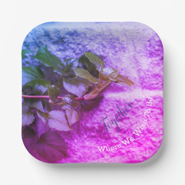 Assiettes En Carton Moderne Coloré et Carré (Recto)