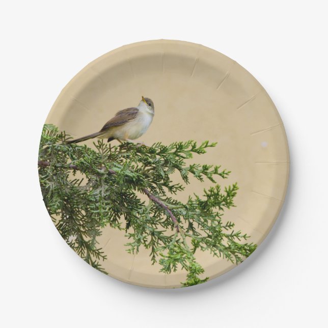 Assiettes En Carton Moineau  (Devant)