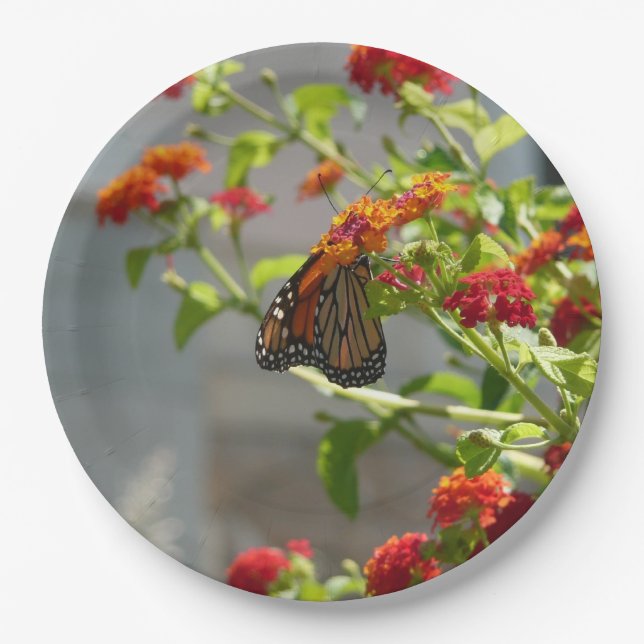 Assiettes En Carton Monarque papillon sur Buddleia rouge (Devant)