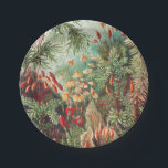 Assiettes En Carton Mosses, Muscinae Laubmoose par Ernst Haeckel<br><div class="desc">Muscinae Laubmoose par Ernst Haeckel Plaque de papier Plante Vintage</div>