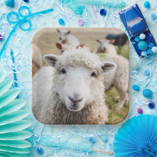 Assiettes En Carton Mouton (Fête)