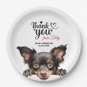 Assiettes En Carton Mudi Dog