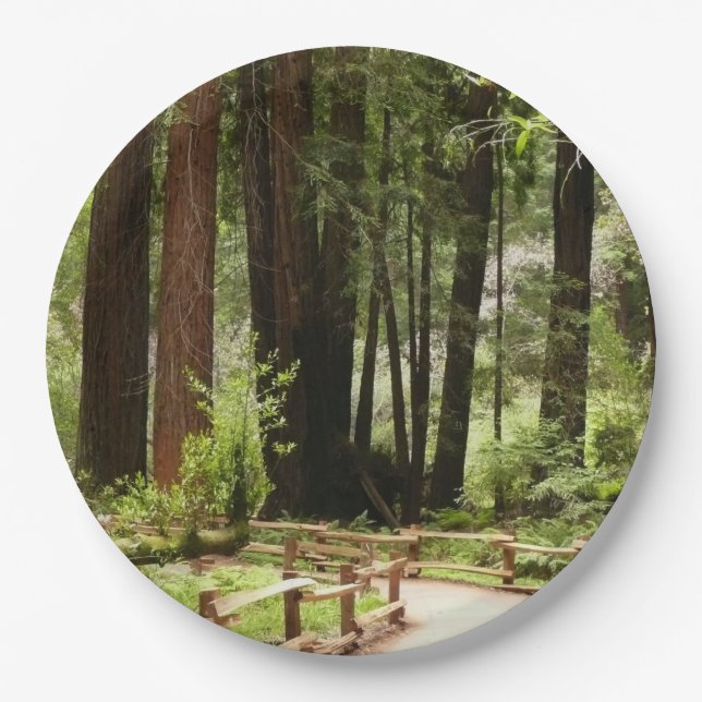 Assiettes En Carton Muir Woods Chemin I Nature Photographie (Devant)