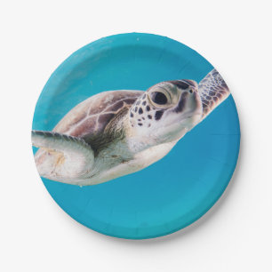 Assiettes En Carton Natation magnifique de tortue de mer dans l'océan