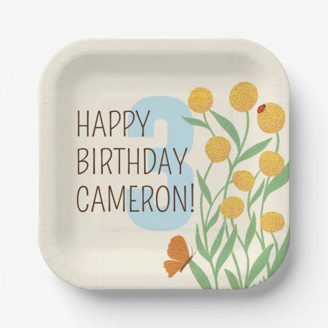 Assiettes En Carton Natural Wonder fête d'anniversaire (Recto)