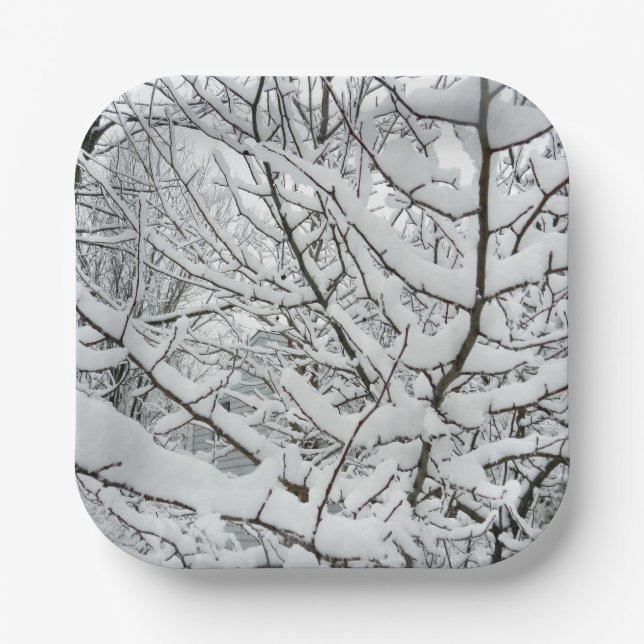 ASSIETTES EN CARTON NEIGE SUR LES BRANCHES (Recto)
