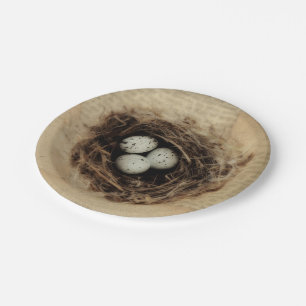 Assiettes En Carton Nid d'oiseaux Old Vintage Antique Retro Oeufs Brow