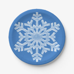 Assiettes En Carton Noël bleu givré congelé blanc glacial de flocon