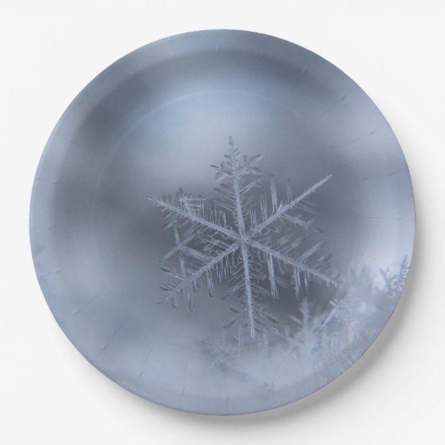 Assiettes En Carton noël d'hiver 97 (Devant)