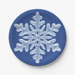 Assiettes En Carton Noël givré congelé bleu glacial d'hiver de floc