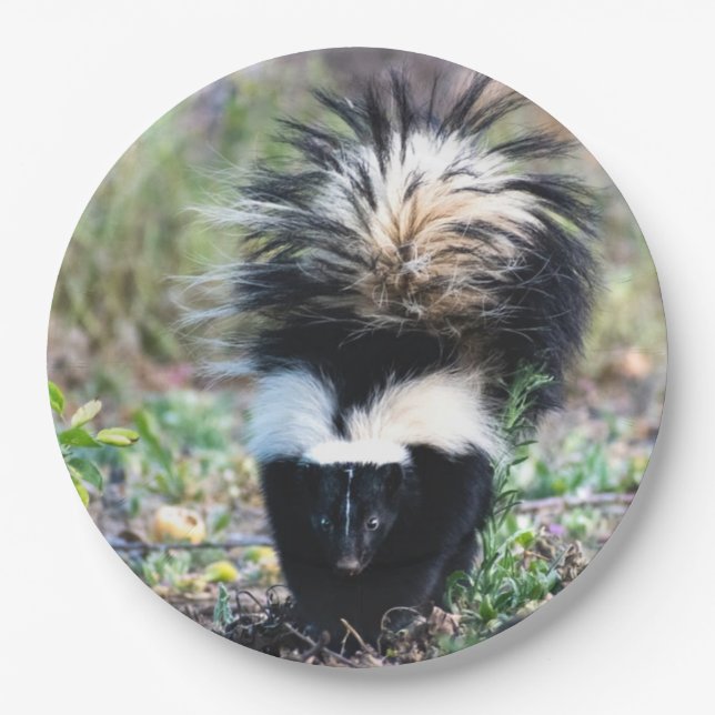 Assiettes En Carton Noir et blanc (Devant)