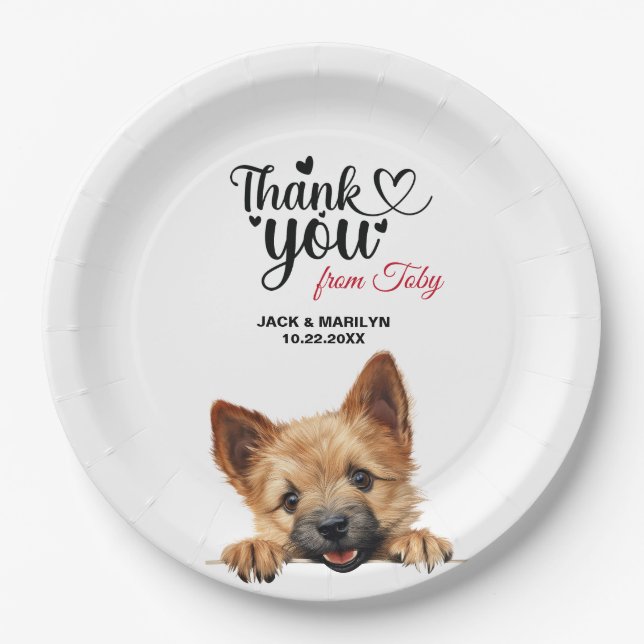 Assiettes En Carton Norwich Terrier (Devant)