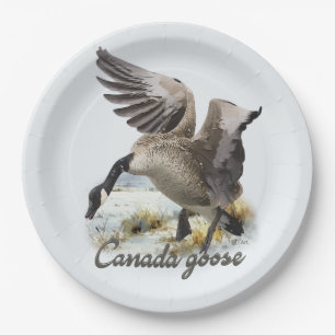 Assiettes En Carton Oie du Canada, Art