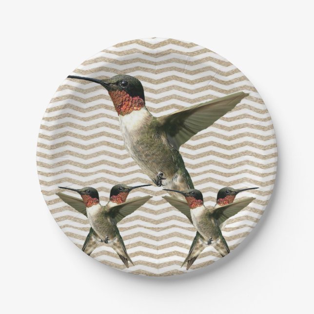 Assiettes en carton Oiseau (Devant)