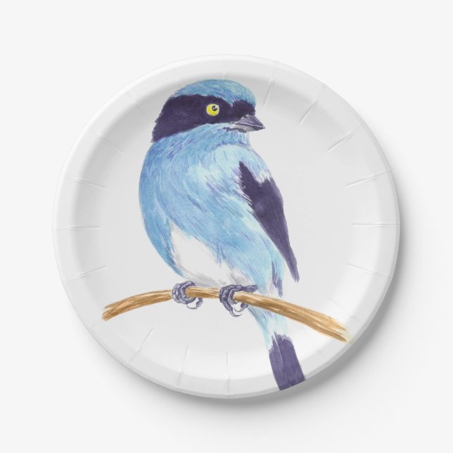 Assiettes En Carton Oiseau bleu (Devant)