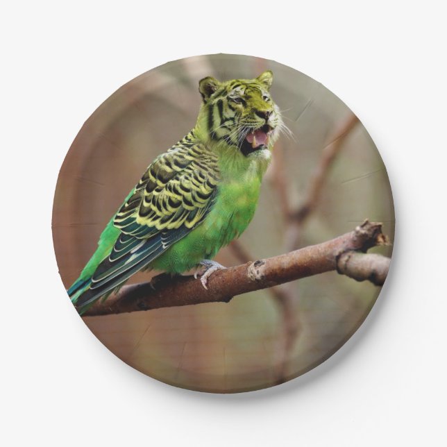 Assiettes En Carton Oiseau-chat (Devant)