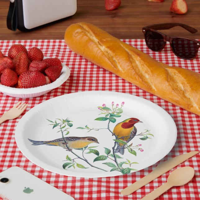 Assiettes En Carton Oiseaux bariolés sur des branches (Pique-nique)