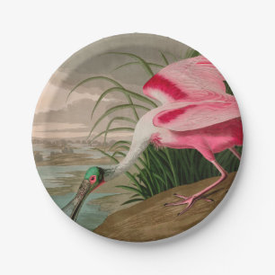 Assiettes En Carton Oiseaux d'Amérique de spatule de rose Audubon Imp