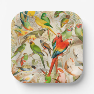 Assiettes En Carton Oiseaux tropicaux Vintages colorés Ara Parrots
