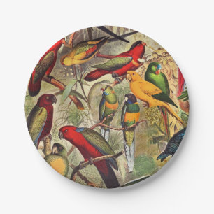 Assiettes En Carton Oiseaux tropicaux Vintages colorés Parrots