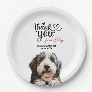 Assiettes En Carton Old English Sheepdog