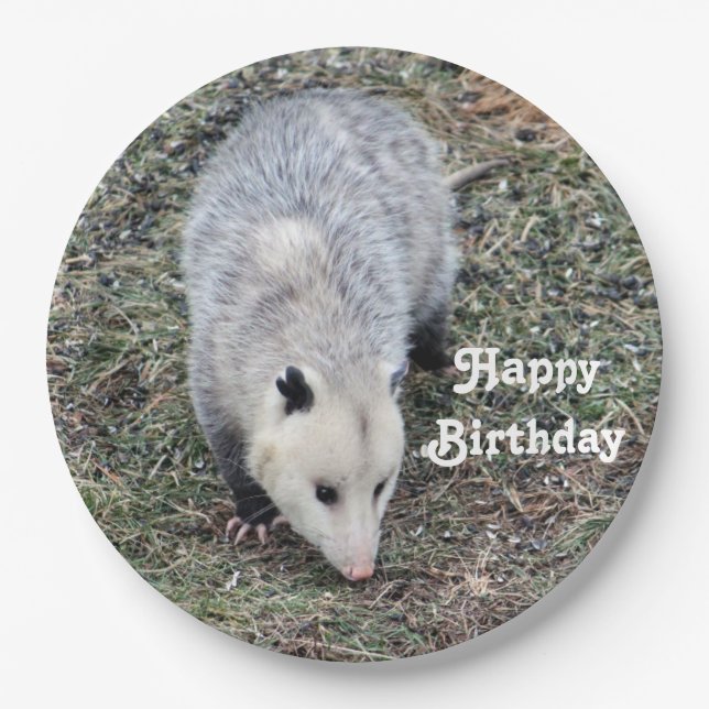 Assiettes En Carton Opossum Photo Anniversaire (Devant)