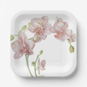 Assiettes En Carton Orchidée illustrée à la main