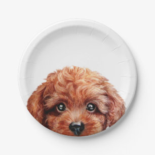 Assiettes En Carton Original brun-rougeâtre de caniche de jouet par l