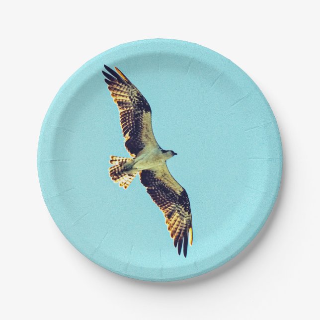 Assiettes En Carton Osprey (Devant)