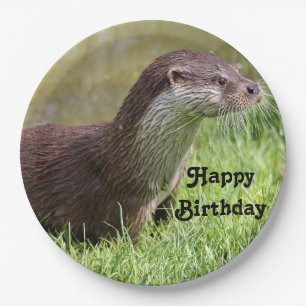 Assiettes En Carton Otter Grass Faune Photo Anniversaire