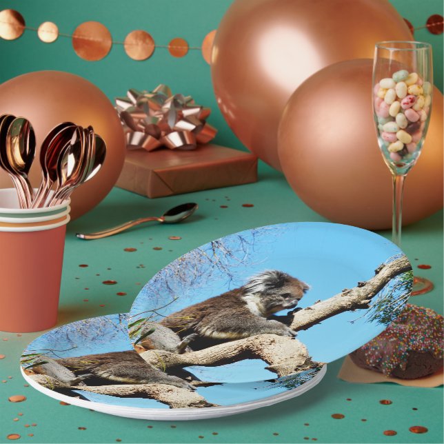Assiettes En Carton Ours De Koala Dans L'Ancien Pin, (Multi)