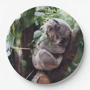 Assiettes En Carton Ours de koala mignon détendant dans un arbre