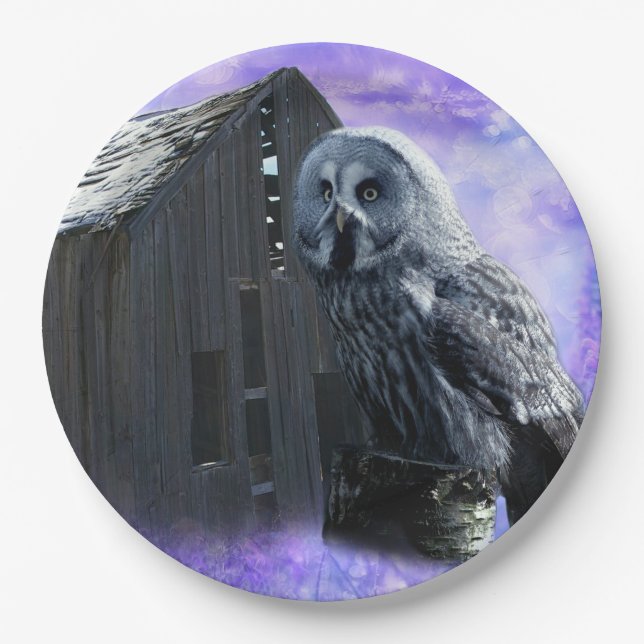 Assiettes En Carton Owl Barn Shed (Devant)
