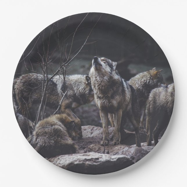 Assiettes En Carton Pack Wolf (Devant)