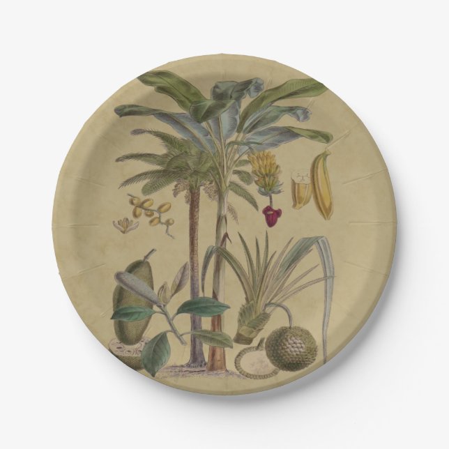 Assiettes En Carton Palm Antique Fruit Tropical Art Botanique (Devant)