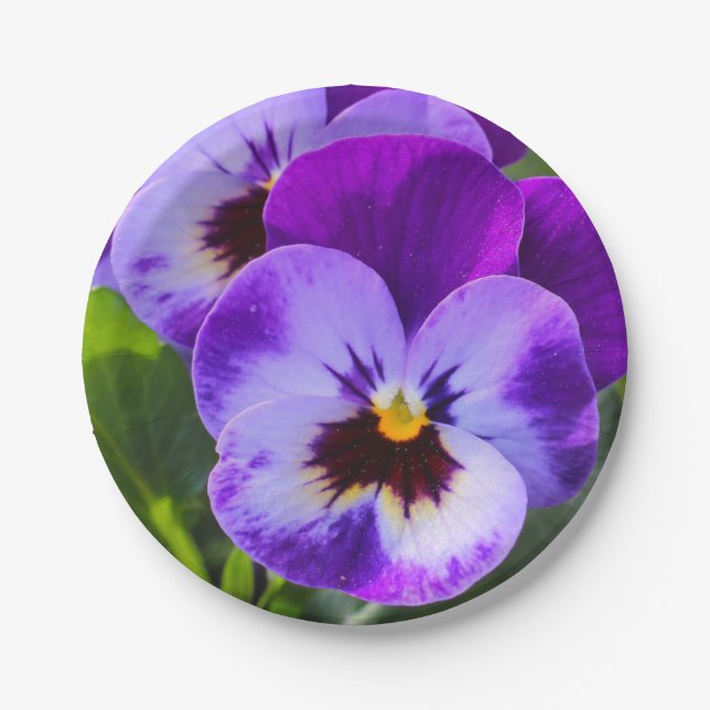 Assiettes En Carton Pansy de pong géant remplit ce (Devant)