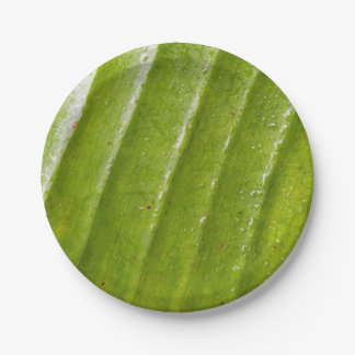 Assiettes En Carton Papier rond de 7 po avec feuille de banane pure