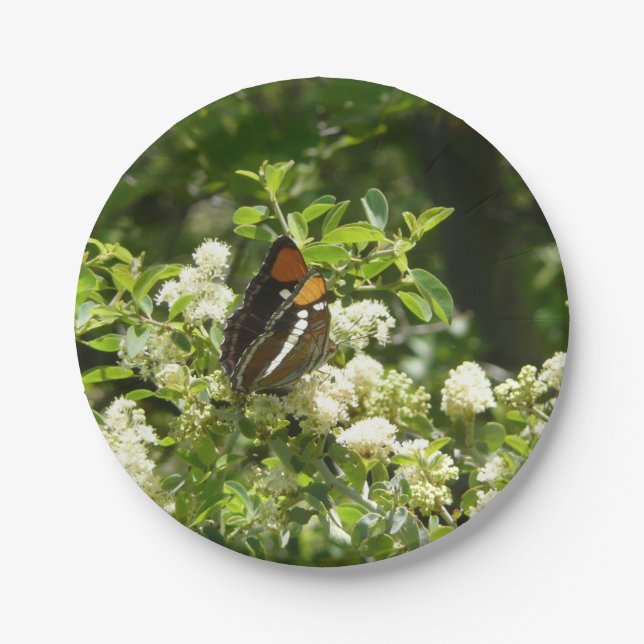 Assiettes En Carton Papillon-soeur de Californie en Yosemite (Devant)