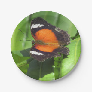 Assiettes En Carton Papillon tropical