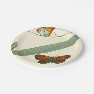 Assiettes En Carton Papillons colorés flottant autour d'une feuille