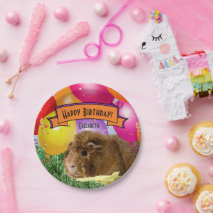Assiettes En Carton Partie nommée de cobaye du joyeux anniversaire de