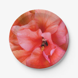 Assiettes En Carton Partie orange rose de corail de belle fleur