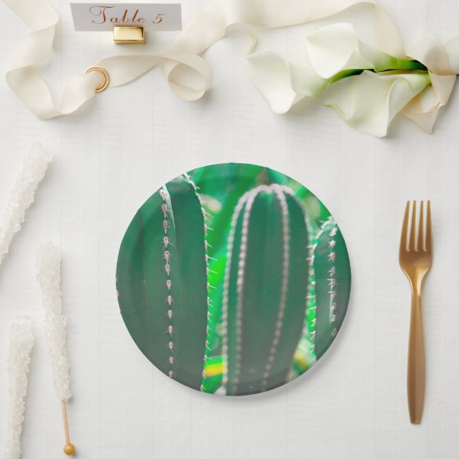 Assiettes En Carton Pastel Green cactus plante pastel feuille (Mariage)