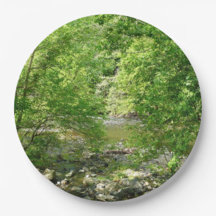 Assiettes En Carton Patapsco River View Maryland Nature Photographie