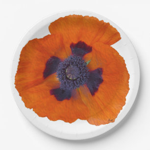 Assiettes En Carton Pavot orange 1 d'écarlate
