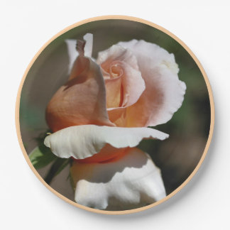 Assiettes En Carton Peach Rosebud