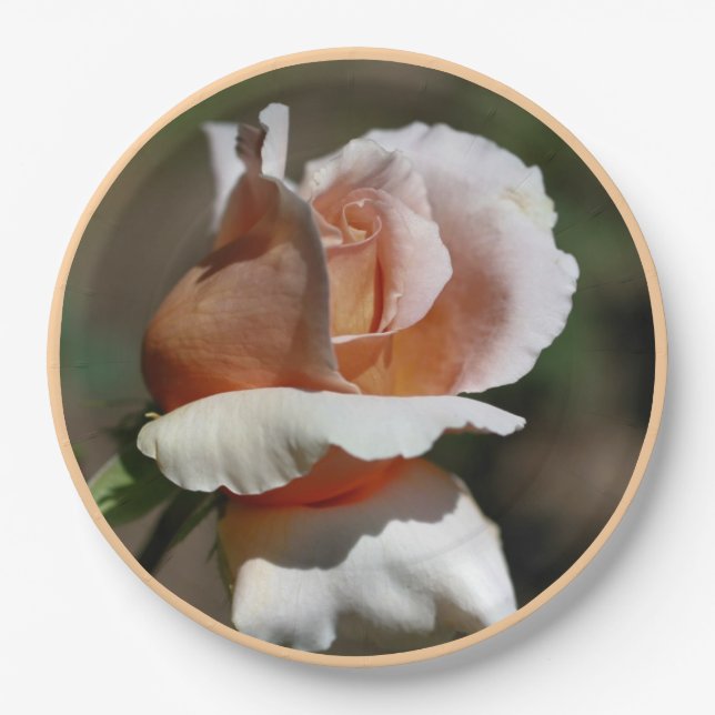 Assiettes En Carton Peach Rosebud (Devant)