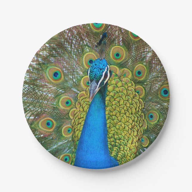Assiettes En Carton Peacock S9K.jpg (Devant)