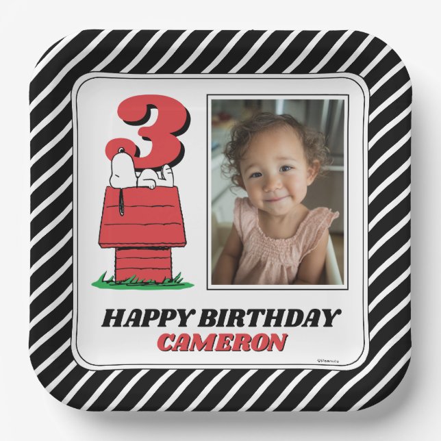Assiettes En Carton Peanuts Snoopy Dog House Birthday Paper Plates (Recto)