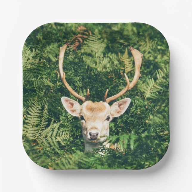 Assiettes En Carton Peek a Deer  (Recto)